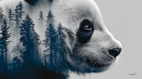 Pandabeer / Pandabeertje