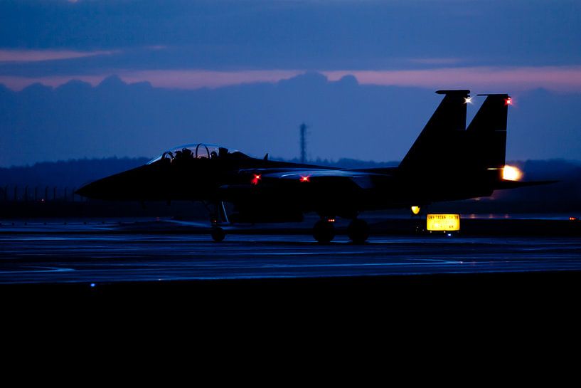 Strike Eagle in early evening van Nico van Remmerden