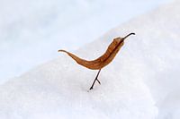 Wintertijd