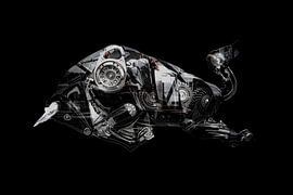 Stier van Martijn Bruins