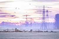 Winterse zonsopkomst