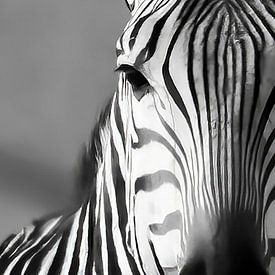 Schwarz-Weiß-Zebra von Linda van der Steen