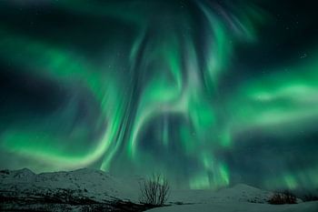 More ART In Nature - Lady Aurora tanzt
