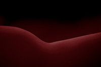Vrouwelijke vorm rood