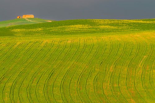 Zonsondergang in de Kreta Senesi