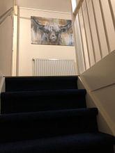 Klantfoto: Highland Cow I van Atelier Paint-Ing, op canvas
