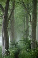 Fairy Tale Lane