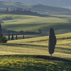 Morgenglanz über dem Orcia-Tal von Walter G. Allgöwer