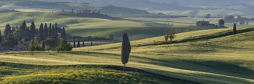 Ochtendgloren over de Orcia Vallei