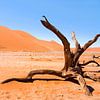 Landschap Namibië, Sossusvlei, Desert van Liesbeth Govers voor Santmedia.nl