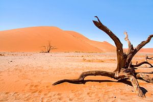 Landschaft Namibia, Sossusvlei, Wüste von Liesbeth Govers voor Santmedia.nl