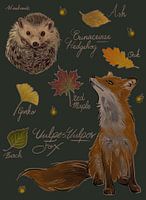 Vos en egel met herfst bladeren tafereel