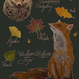 Fox and hedgehog with autumn leaves scene by Wies de Ruiter