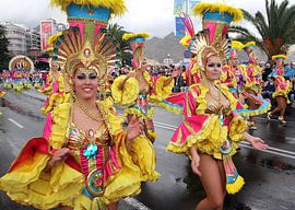 Carnaval van Henk Langerak