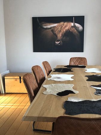 Schottischer Highlander