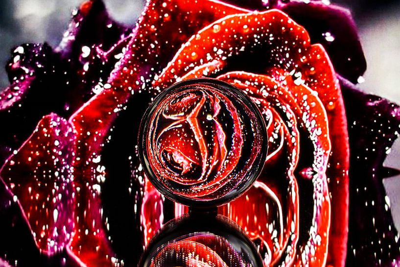Lensball Fantasy Red Rose 002 par De FotoBakker