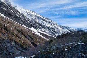 Straße die durch das Norwegisches Hochgebirge führt