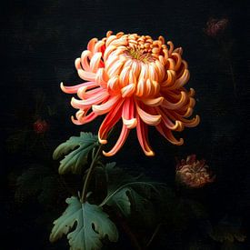 Chrysant in donker licht – klassiek bloemenportret in oude-meesterstijl van But First Framing
