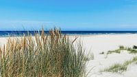 Terschelling: peace, vastness, space on a sun-drenched summer day