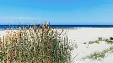Terschelling: Ruhe, Weite, Raum an einem sonnenverwöhnten Sommertag von Dan Photo Shaman