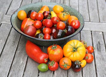 Veel verschillende tomatenrassen van Karina Baumgart