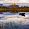 Lofoten - Norvège sur Roy Poots
