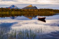 Lofoten - Noorwegen van Roy Poots thumbnail