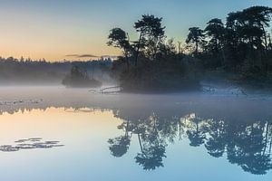 Lever de soleil et brume matinale à l'Oisterwijkse Vennen sur Original Mostert Photography
