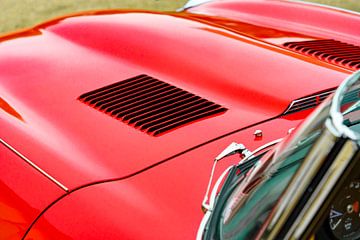Jaguar E-Type Roadster bonnet louvres detail by Sjoerd van der Wal Photography
