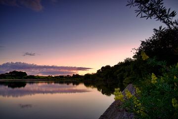 Pastell still von Laura Krol