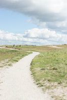 The beach - Door de Duinen
