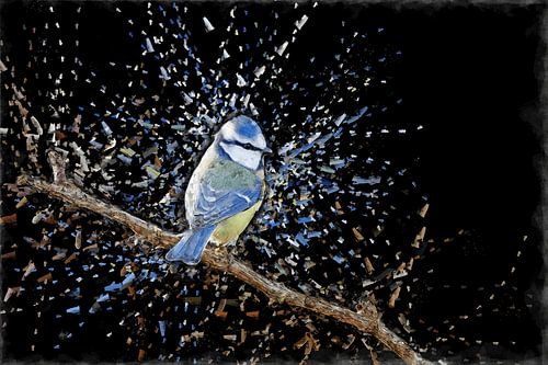 Digitale Malerei von Blue Tit auf schwarzem Hintergrund