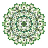 Mandala van planten