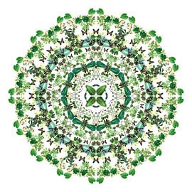 Mandala van planten van Bernice Bartling