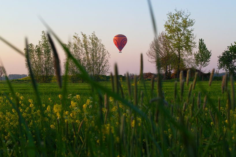 Hot Air Balloon in the polder by tiny brok