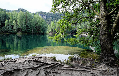 Nature.