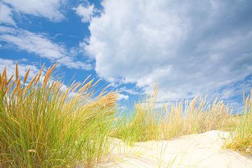 Paysage de dunes sur la côte avec du soleil et un beau ciel nuageux sur Bas Meelker