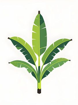 Tropical Banana Leaf by Giandra Safaraz