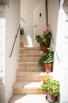 Treppe mit rosa, weißen und roten Blumen | Apulien, Italien | Reisefotografie von Monique Tekstra-van Lochem