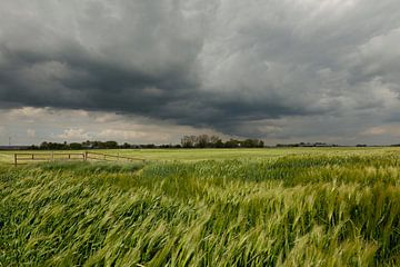 Getreidefelder mit dunklen Wolken von Antje Verleg-Dijk