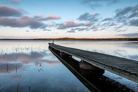 Pointing to the horizon II by Gerry van Roosmalen
