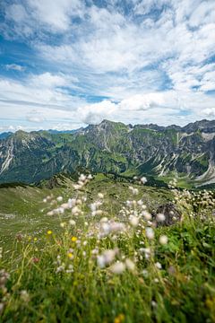 Bloemen met uitzicht op Bad Hindelang, Großer Daumen en de Allgäu van Leo Schindzielorz
