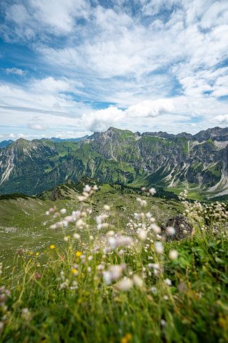Bloemen met uitzicht op Bad Hindelang, Großer Daumen en de Allgäu