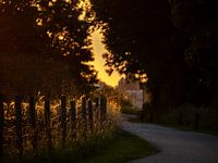 Der Weg zur Sommersonne