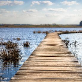 Across the water by Paul Lagendijk