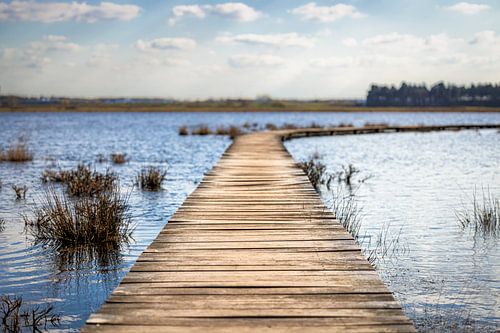 Auf der anderen Seite des Wassers