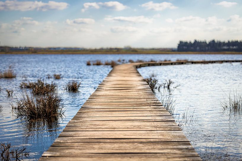 Auf der anderen Seite des Wassers von Paul Lagendijk
