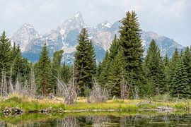 Grand Teton National Park van Studio Retouched fotoshop