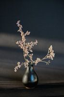 Gedroogde Bloemen in Zwarte vaas in middag zon