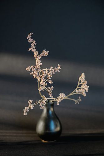 Gedroogde Bloemen in Zwarte vaas in middag zon